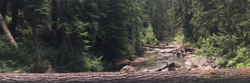 Scott M Osborne banner