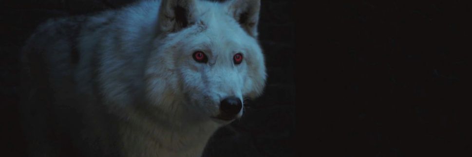 ghostwolfc's profile banner image