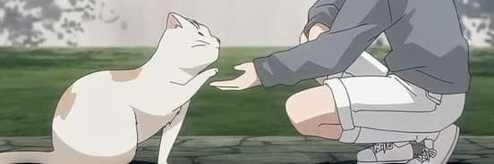 samcito9's profile banner image