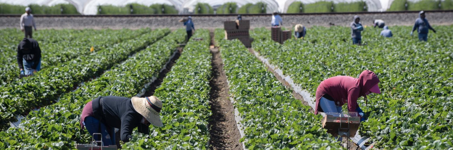 David Rodriguez Muñoz banner