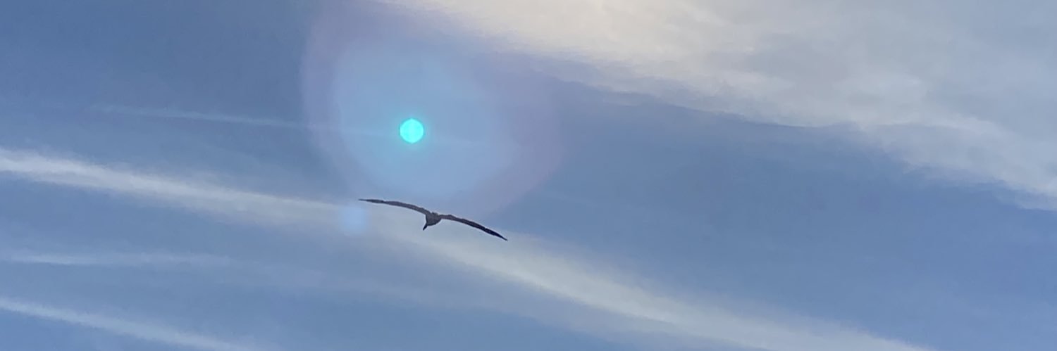 J. Strawn What's Going On banner