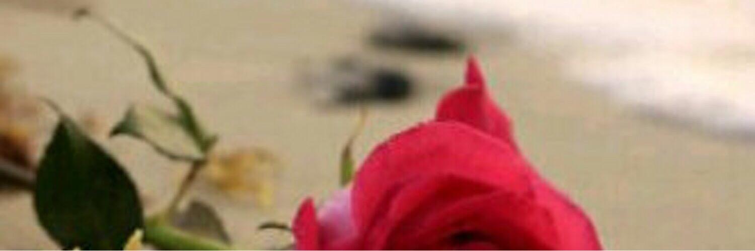 sh3bood7's profile banner image