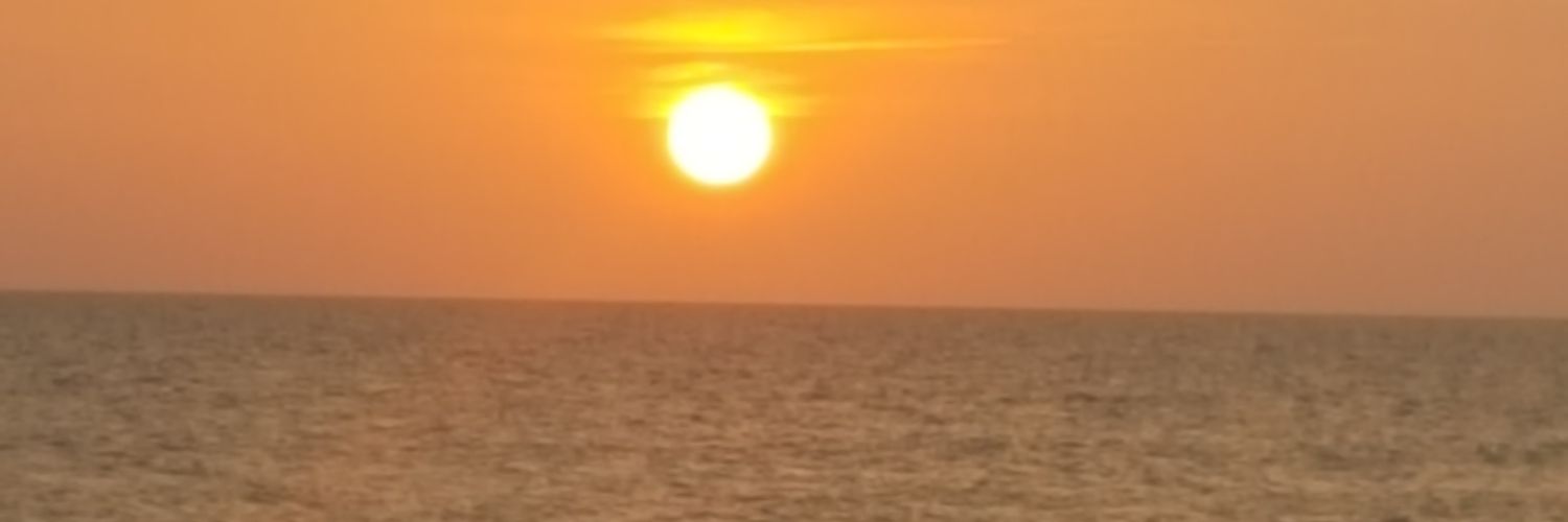stevenjfox's profile banner image