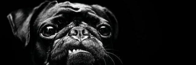 Y_Y banner