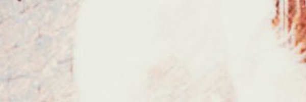 jwdenvir Profile Banner