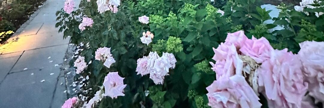 jimfitz8433's profile banner image