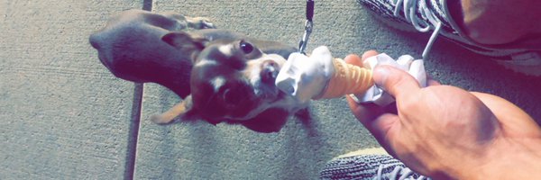 fvckjack Profile Banner