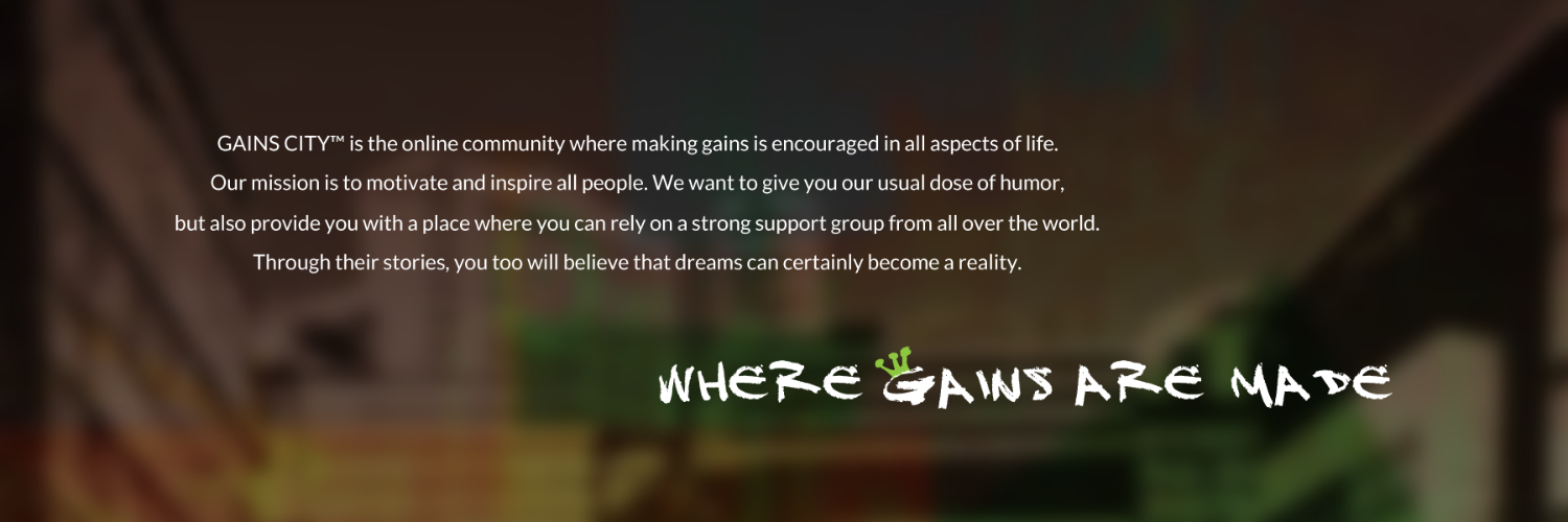 GAINSCITY's profile banner image