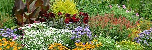 RichardQVC Profile Banner