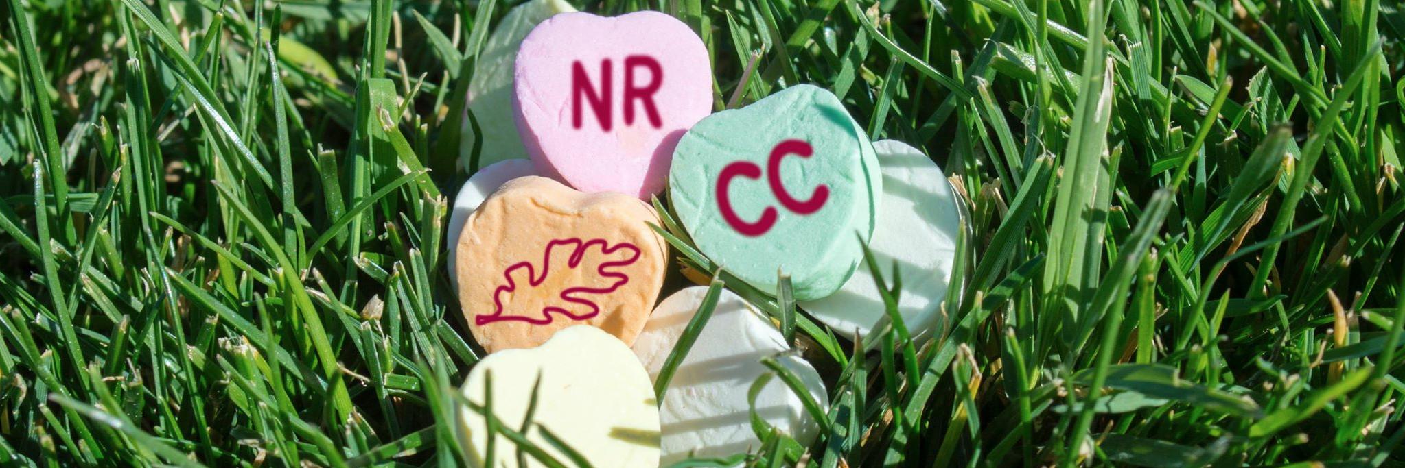 NorthRanchCC's profile banner image