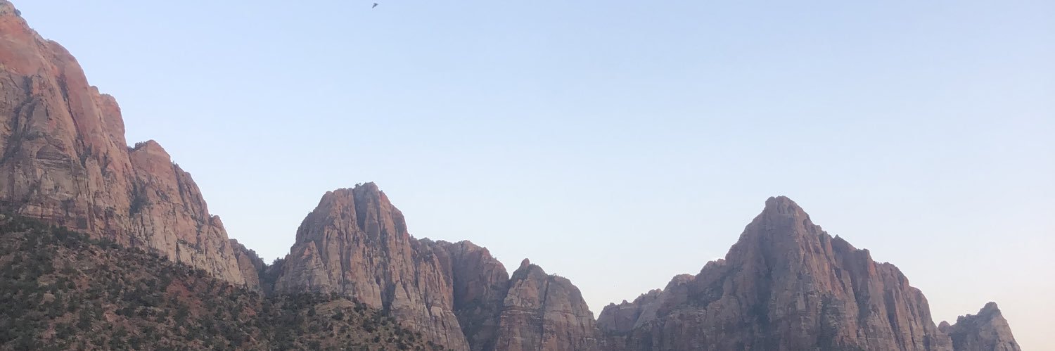 ali banner