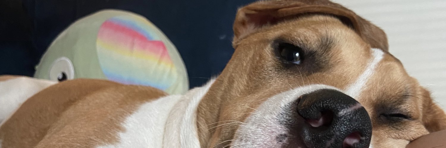 amsigningoff's profile banner image