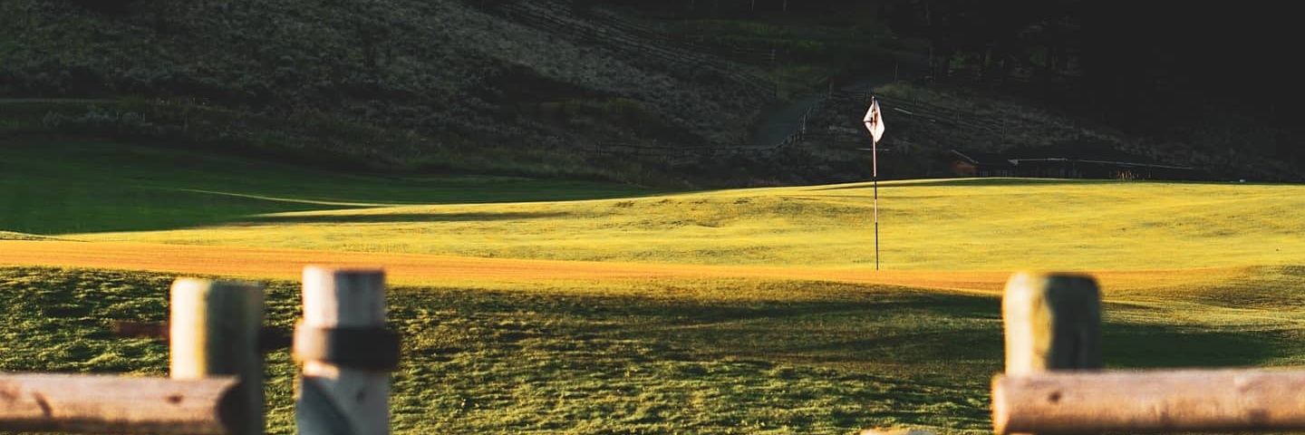 Alex Forbes banner