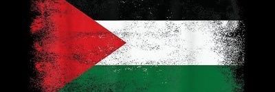 Antifascista. Eva Pérez Zuñiga 🔻🔻 banner