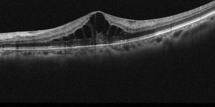 nixonopticians's profile banner image