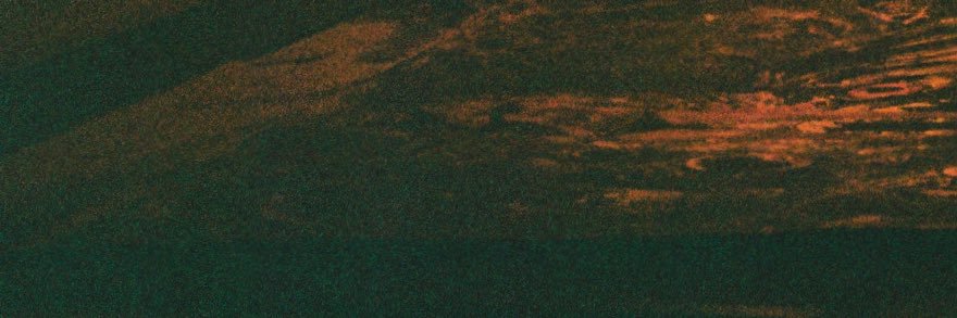 Odonis Odonis banner