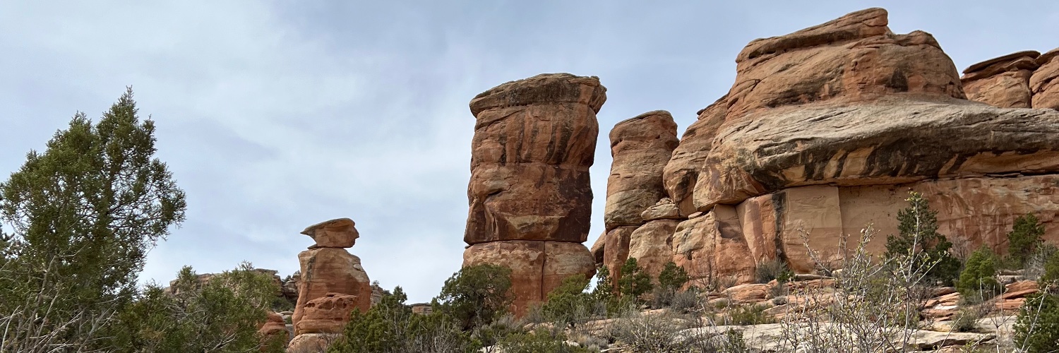 katyjcook's profile banner image
