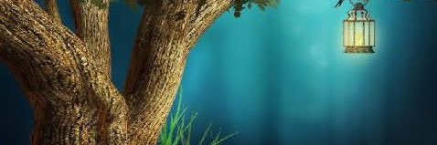FalloNDacCaretT's profile banner image