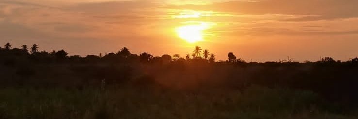 shjosefaAlves's profile banner image