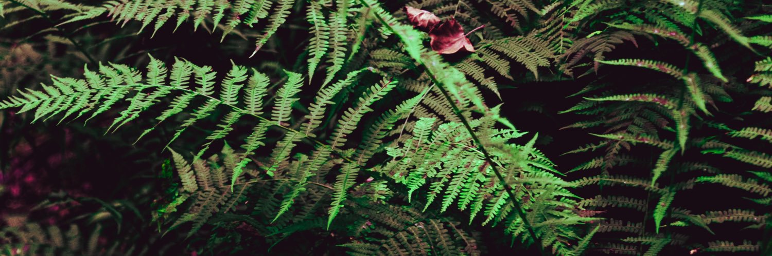 LoganWinters66's profile banner image