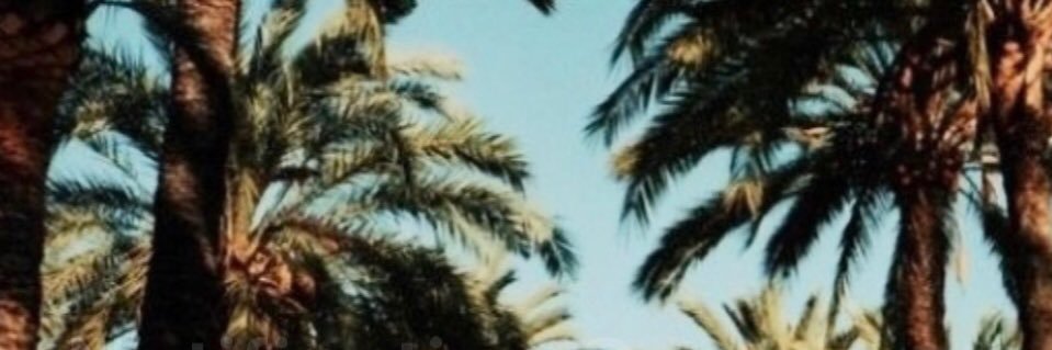 ElliemcAlpine_'s profile banner image