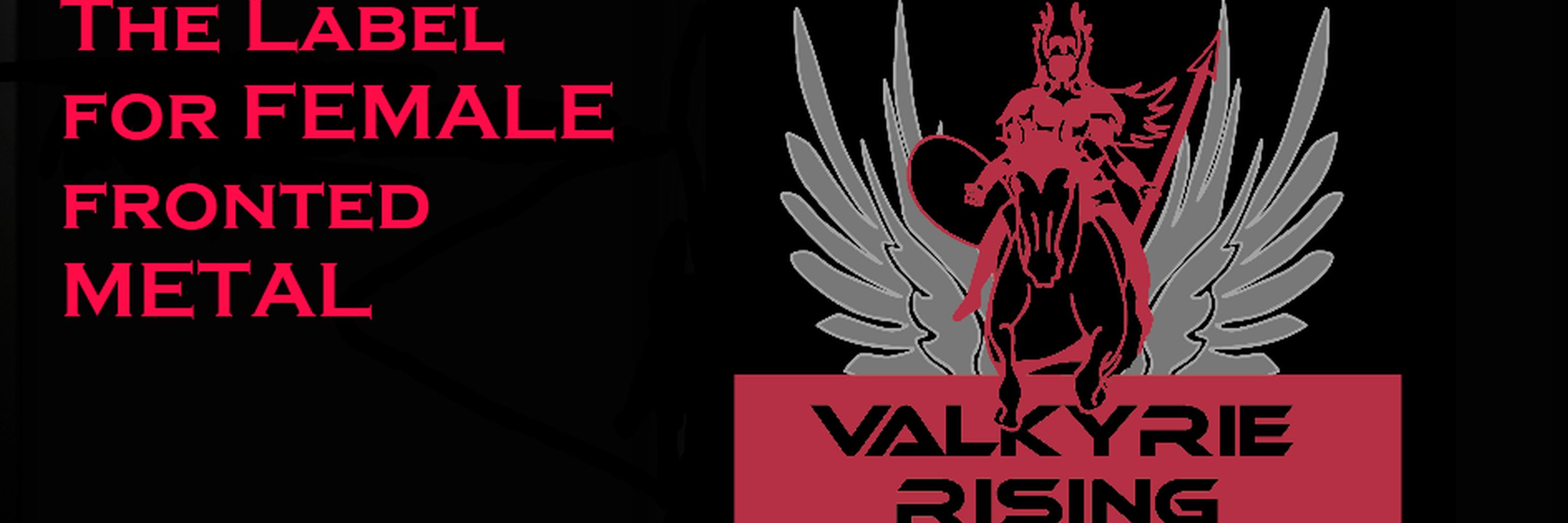 ValkyrieRisingM's profile banner image