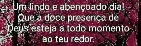 Rogerio94559659's profile banner image