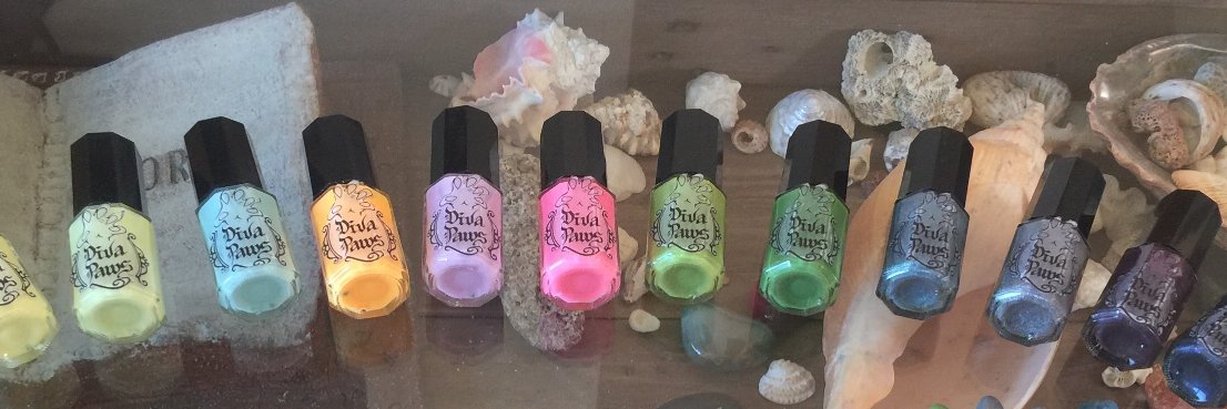 diva_paws's profile banner image