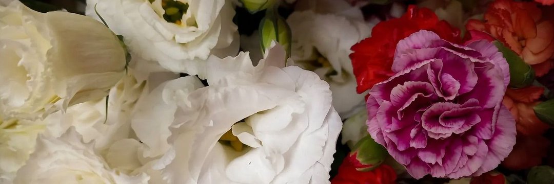 _danielalunkes's profile banner image