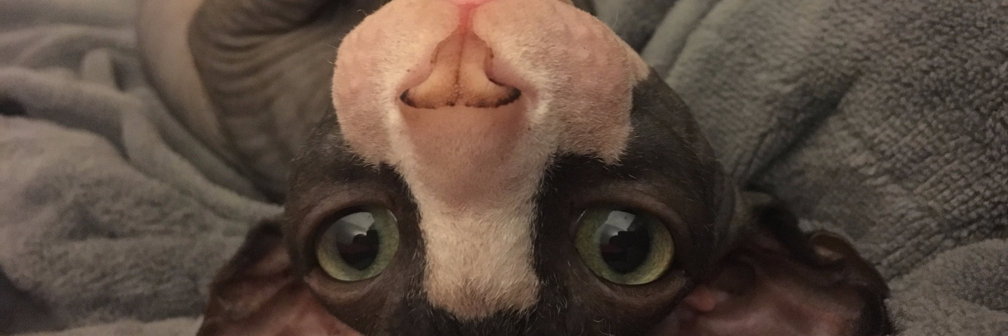 TracyGriffith's profile banner image