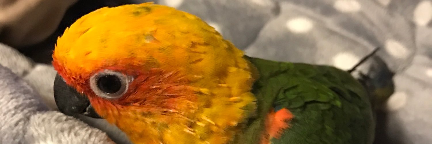puinyan's profile banner image