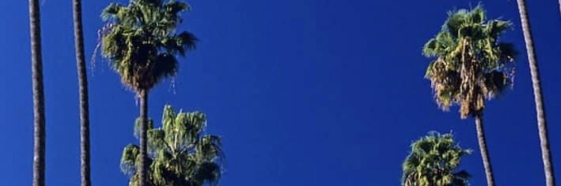 heidiladell's profile banner image