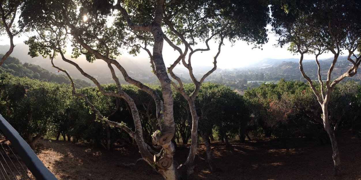 Heather Widman banner