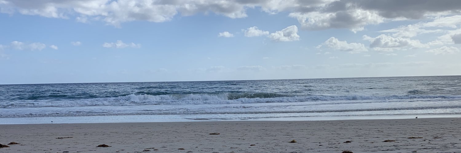 arlene potashner banner