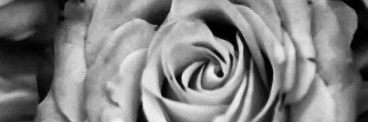 balancedmind_'s profile banner image
