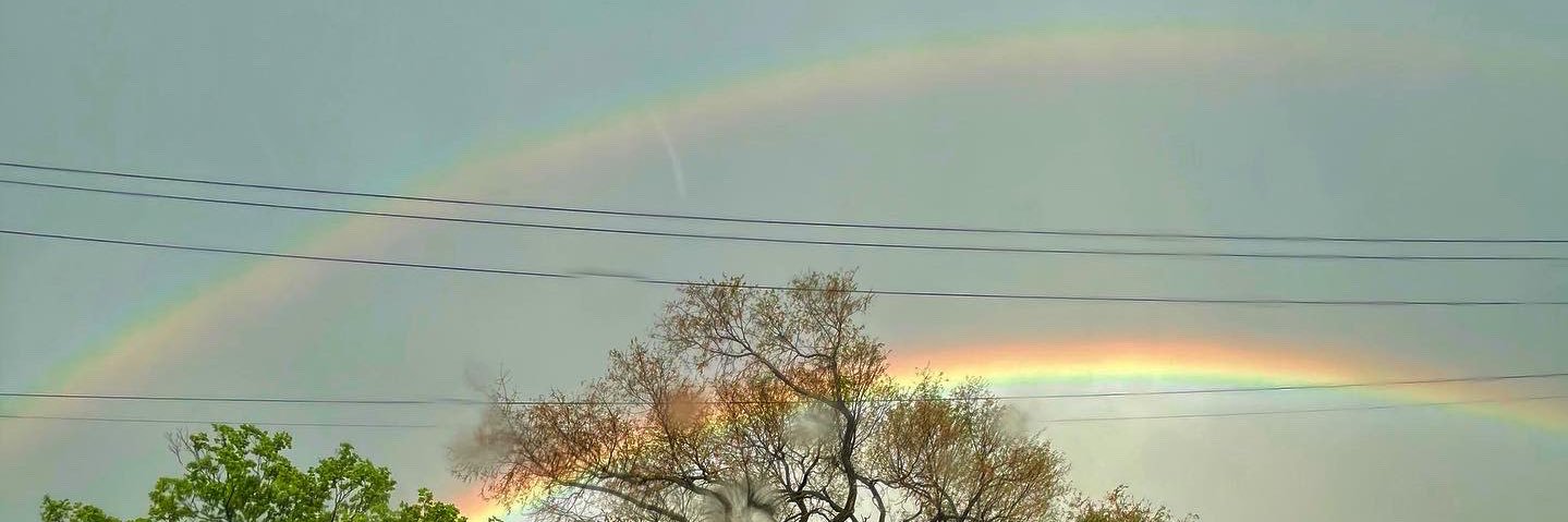 tayloromens's profile banner image