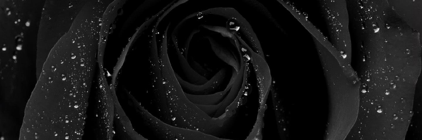 andreawms2180's profile banner image
