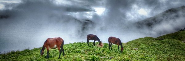 kalapian_ Profile Banner