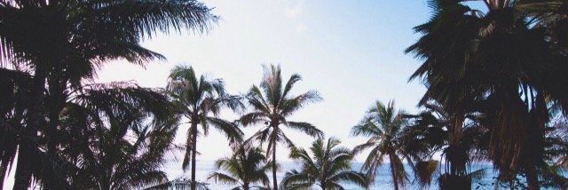 BayB_Bree's profile banner image