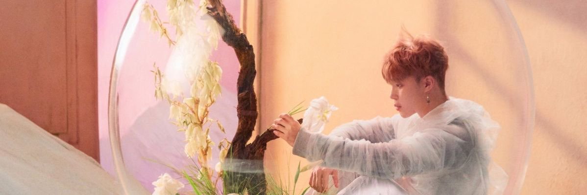 serend1pitys's profile banner image