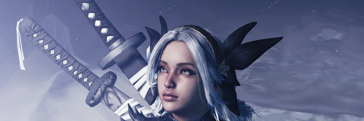 XIII banner