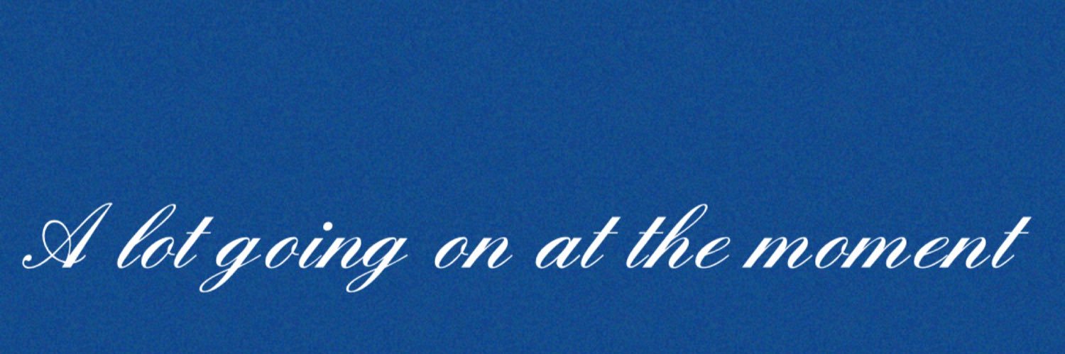 christina finley banner