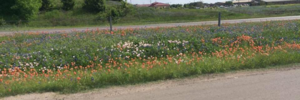 Katherina Payne banner