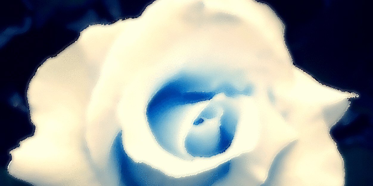 _______ss_'s profile banner image