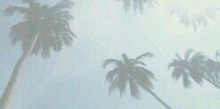 unfrcuds's profile banner image