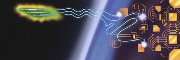 mirandareinert Profile Banner