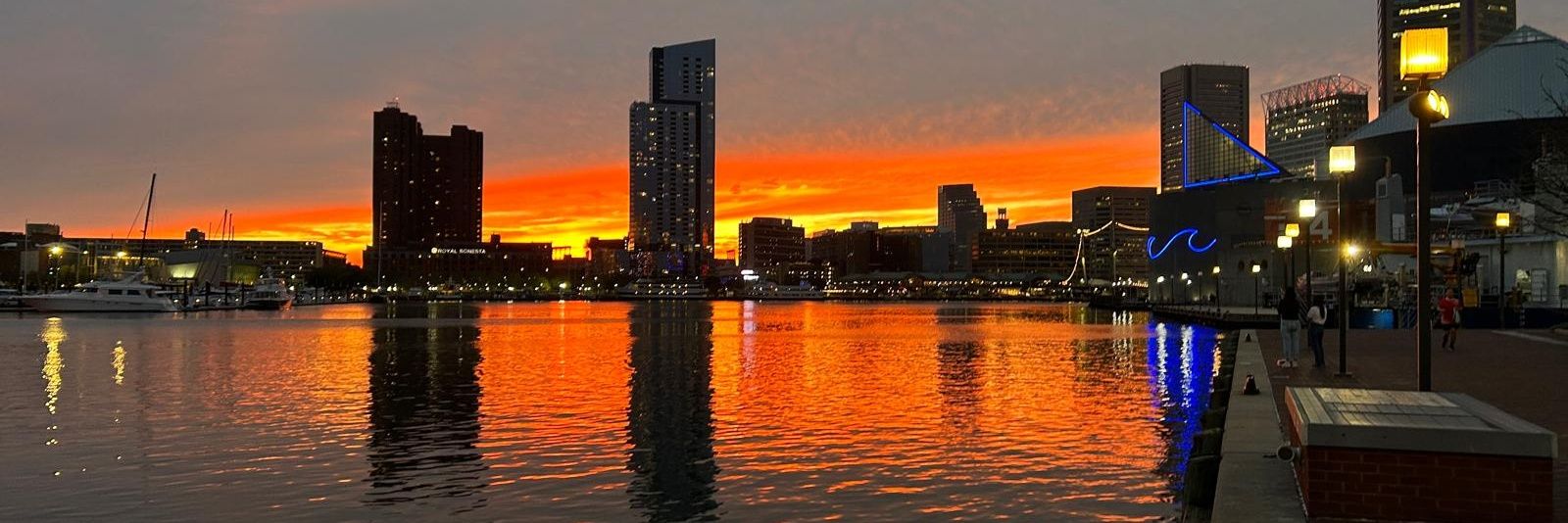 Luana Colloca banner