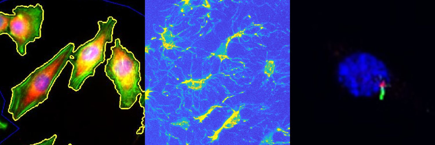 Michael Duffy banner