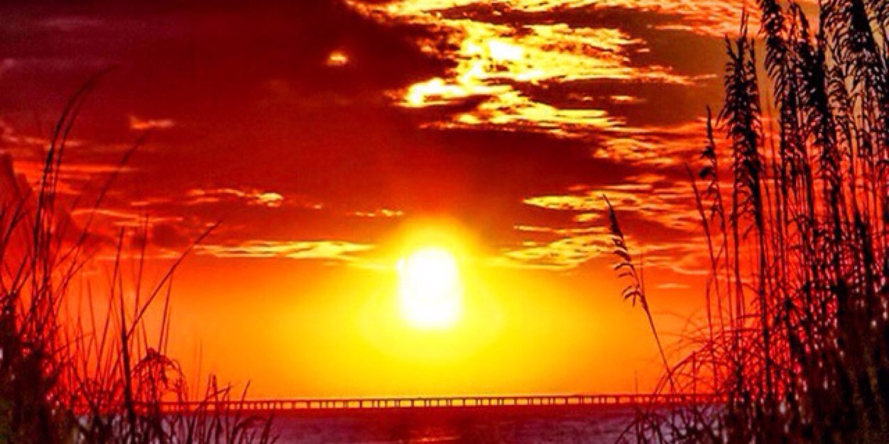 dannyhall8's profile banner image