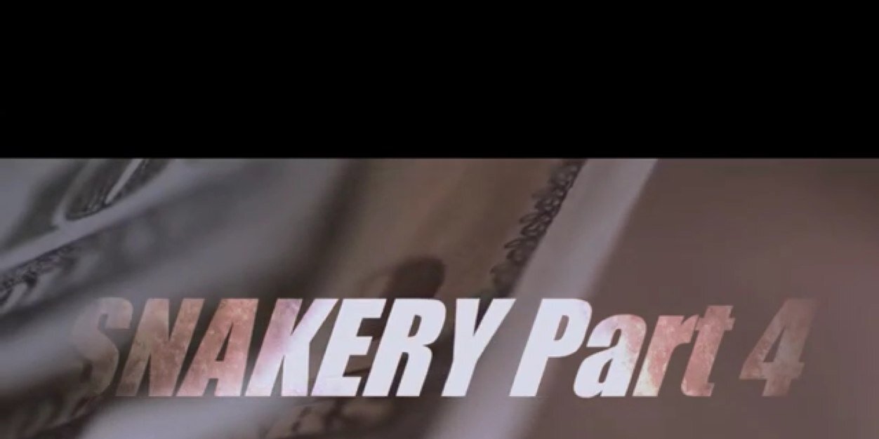 SnakeryLLE's profile banner image